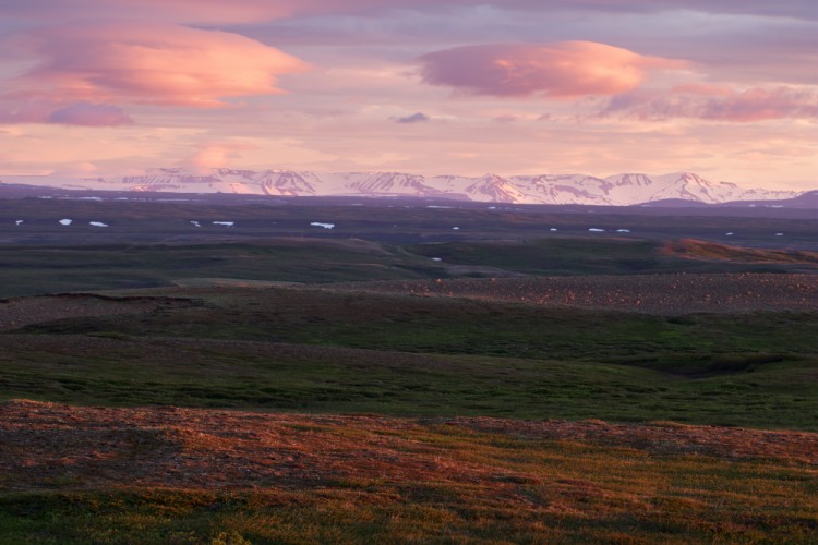 Polnočná tundra