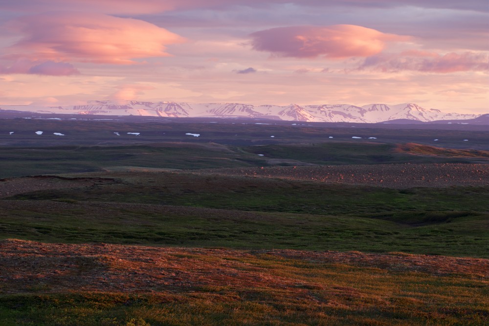 Polnočná tundra