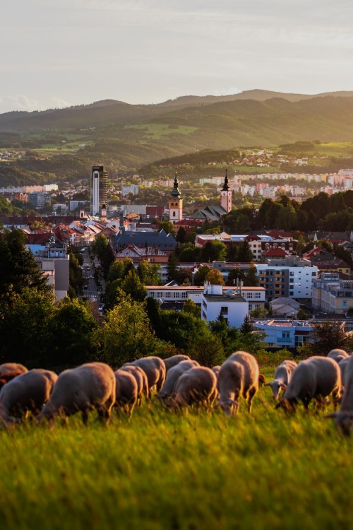 Banská Bystrica