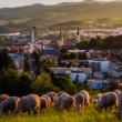 Banská Bystrica
