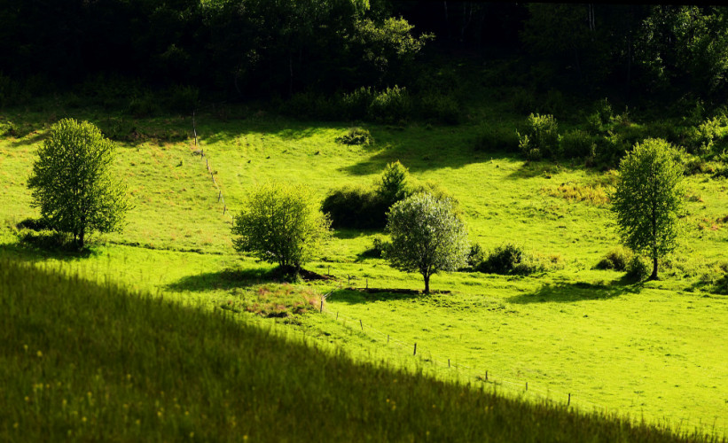 podvečer