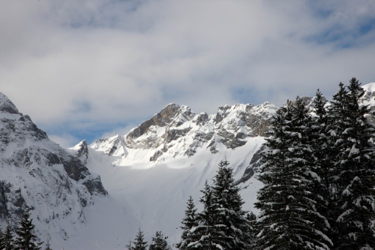 Swiss Panorama 1