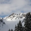 Swiss Panorama 1