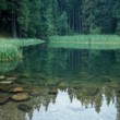 Vrbické pleso