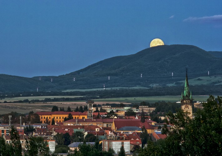 Zvedavý mesiačik