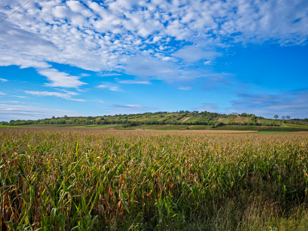 Modré nad hlavou