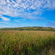 Modré nad hlavou
