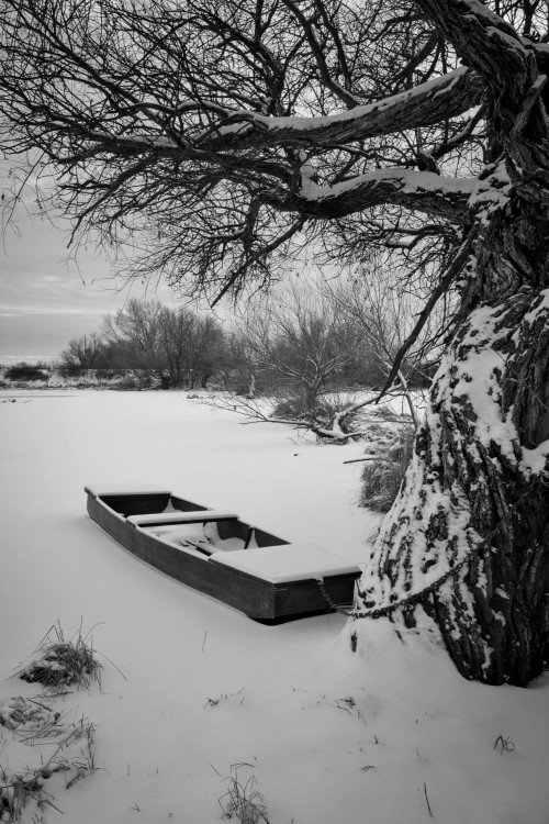 Zimné ráno pri Žitave.