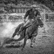 Horse rider