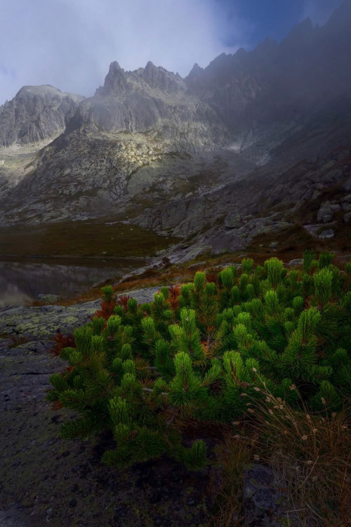 Vysoké Tatry