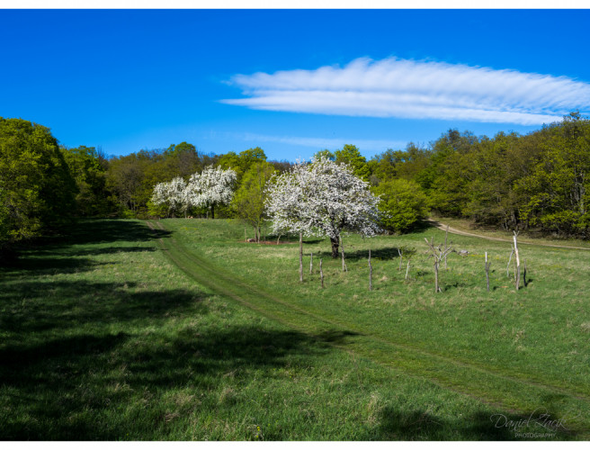 Kučišdorfská Dolina, Pezinok