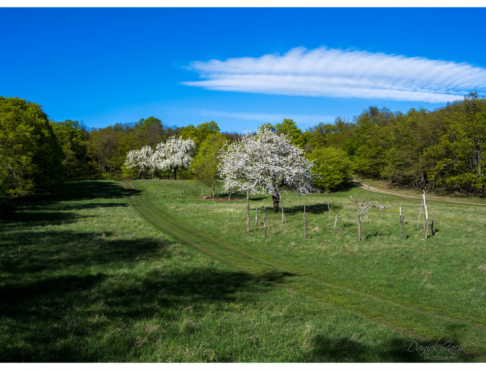 Kučišdorfská Dolina, Pezinok