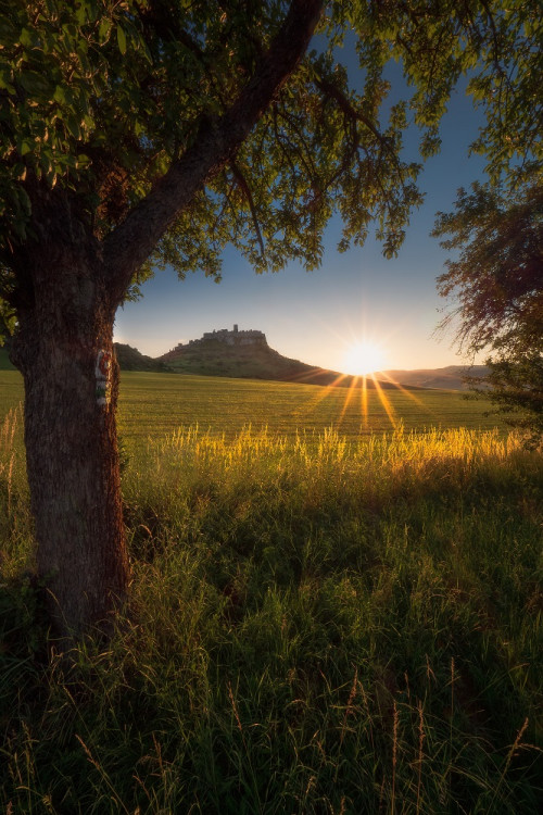 Spišský hrad