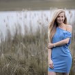 Denisa