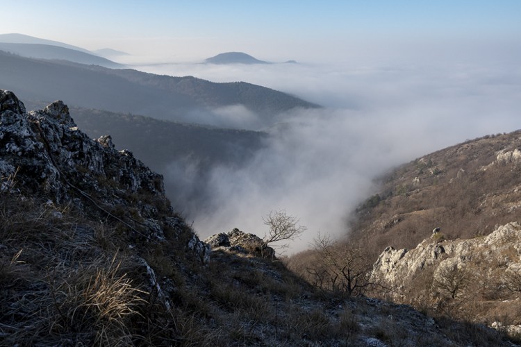 Kršlenica