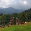 Zakopané