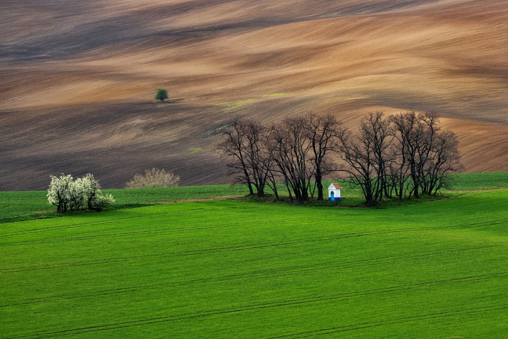 ... Sv. Barborka ...