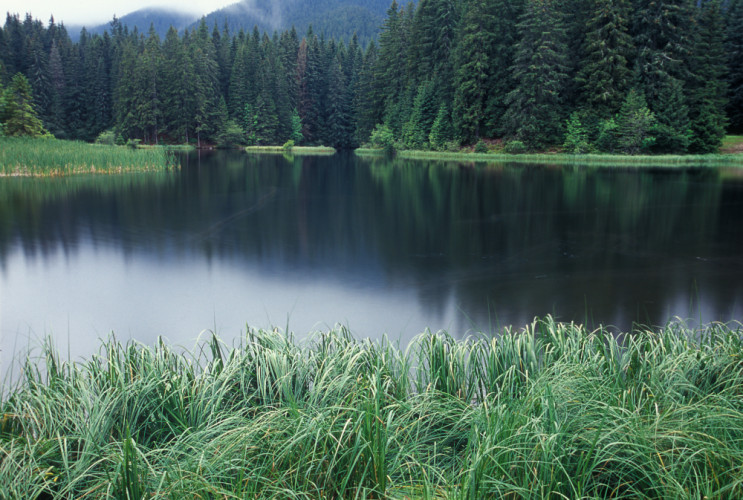 Vrbické pleso (2008)