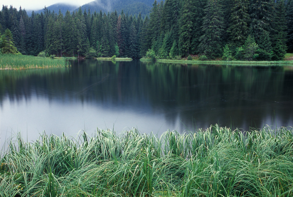 Vrbické pleso (2008)