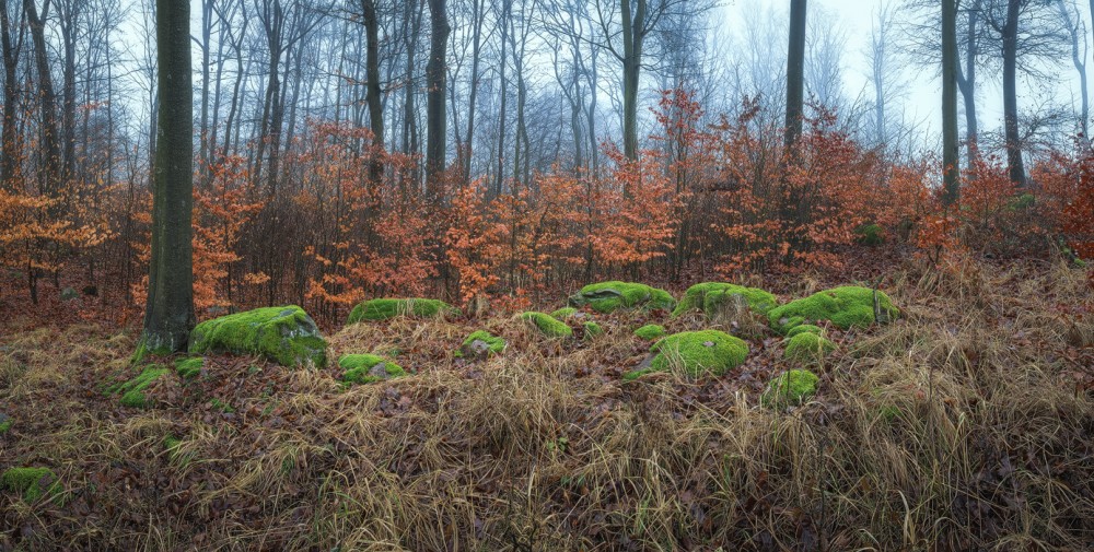 Farebná zima