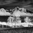 Tatry inak