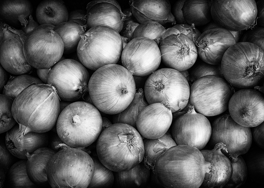 cibula