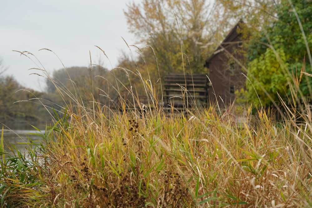 Jeseň na Malom Dunaji