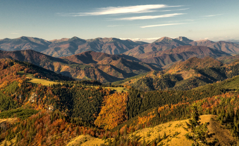 farbičkovo