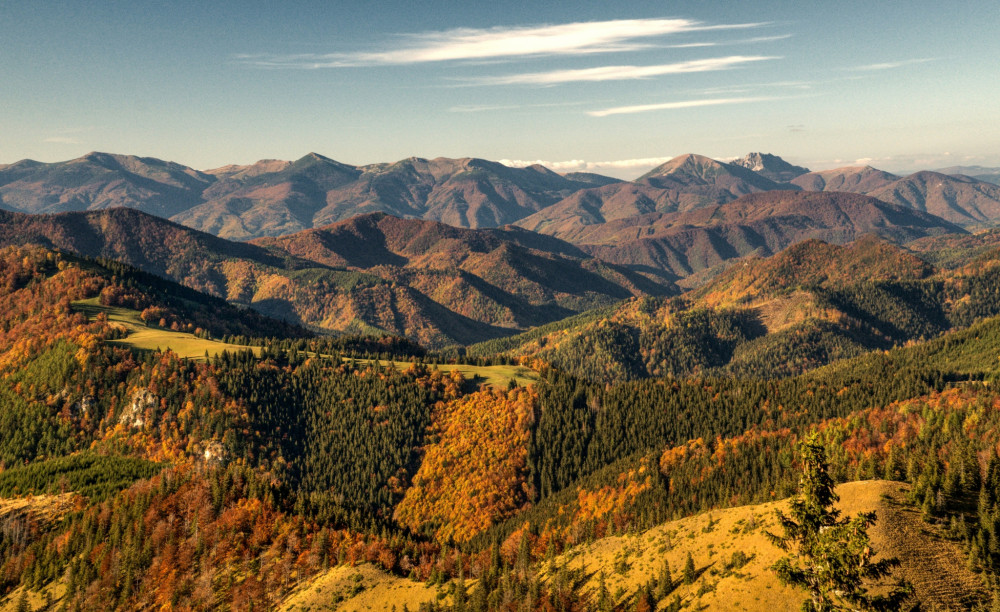 farbičkovo