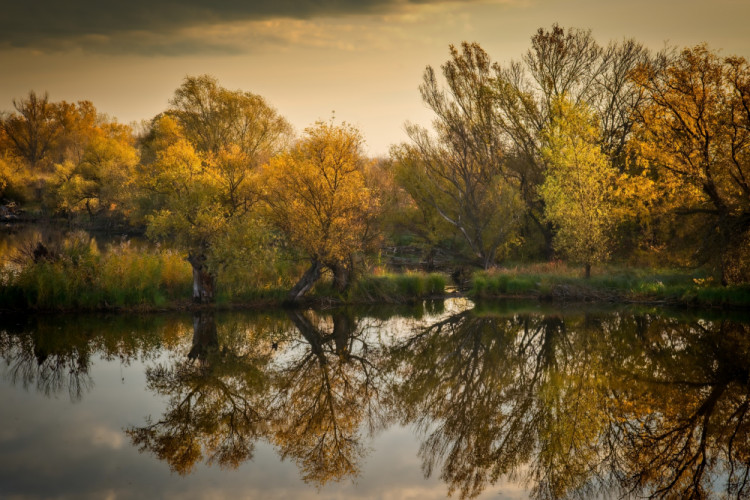Jesenné zrkadlenie.