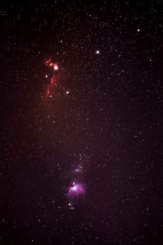 Orion