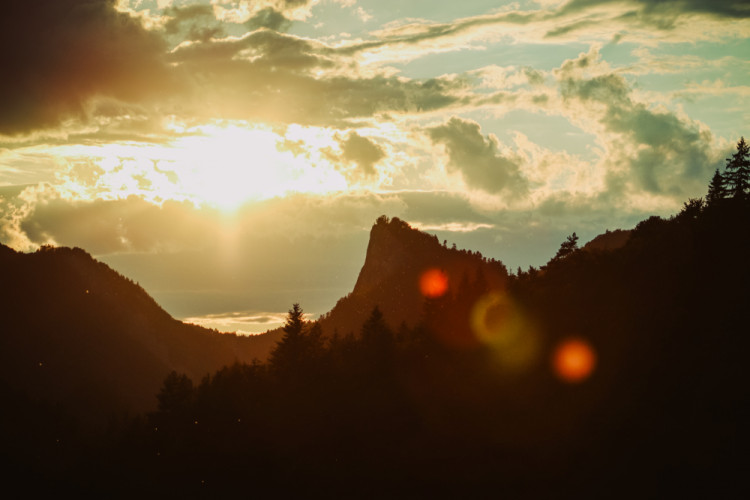 Landscape