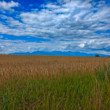 Turčianske polia