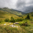 Malá Fatra