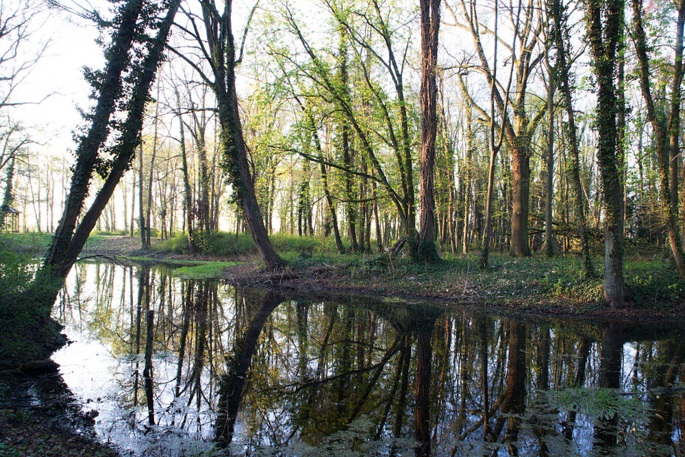 Krásny malý park neďaleko Berlína