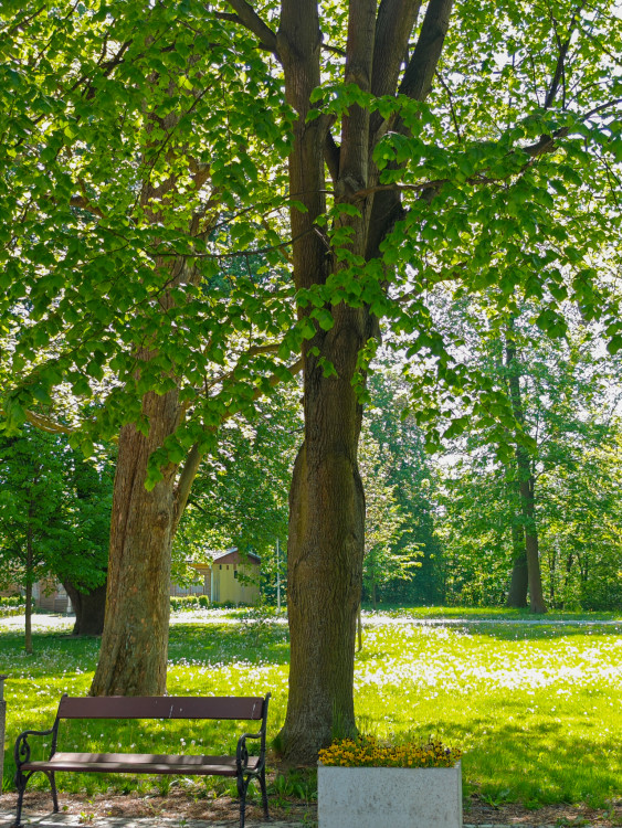 Park pri vile Svitavka