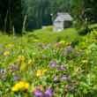 Planina Blato
