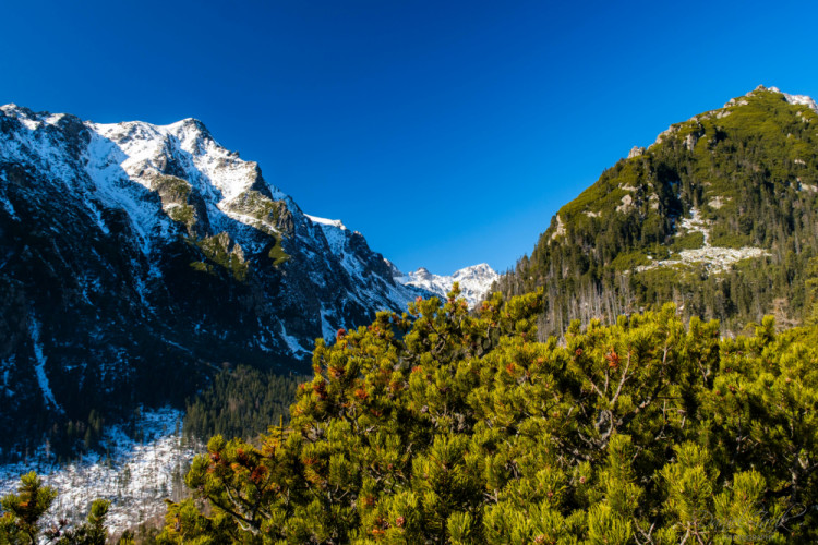 Tatry, cesta na  Zamkovského chatu