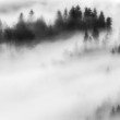 White Winds