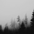 Silueta