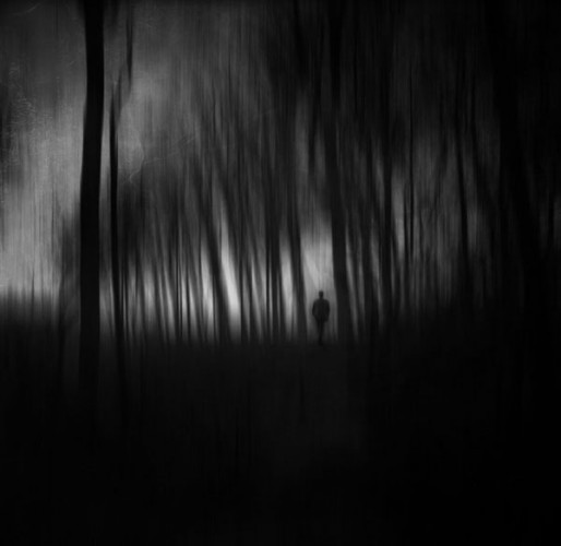 V temnom lese...