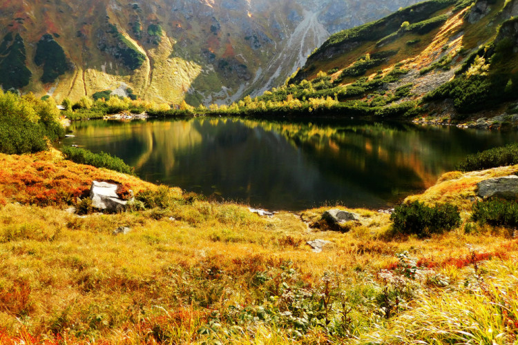 Roháčske pleso