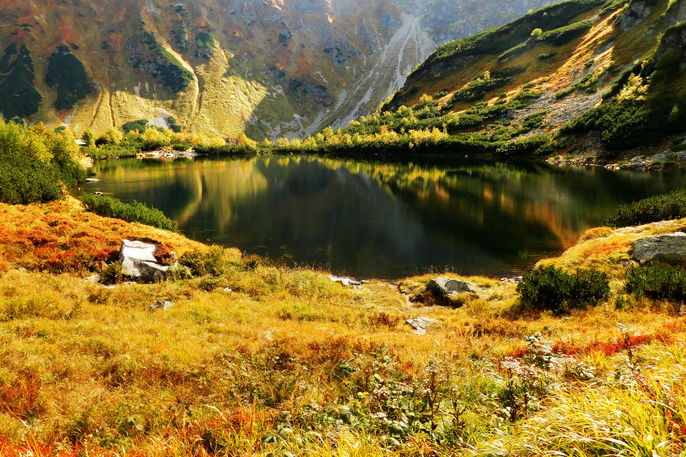 Roháčske pleso