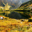 Roháčske pleso