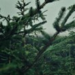 Lost