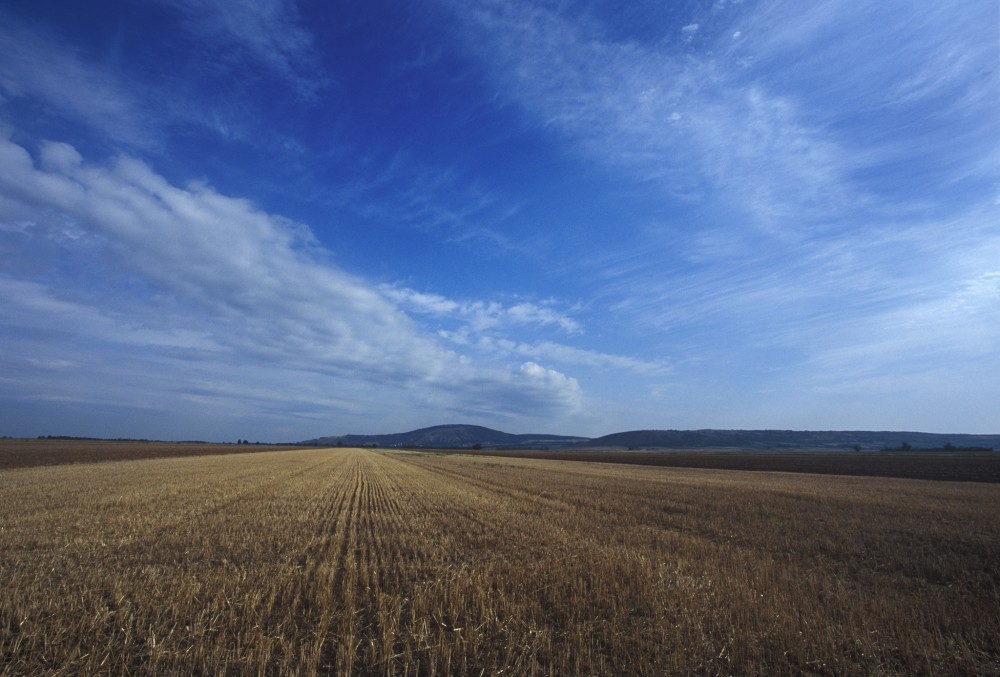 Polia pod Hundsheimerbergom