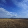 Polia pod Hundsheimerbergom