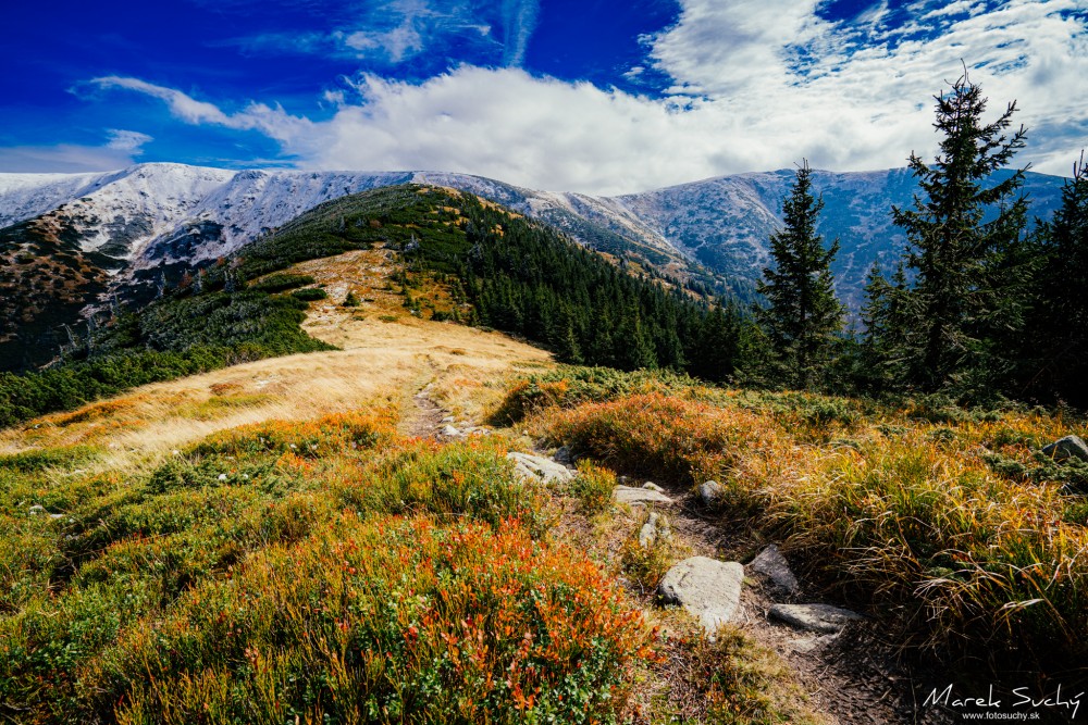 Nízke Tatry II.