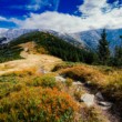Nízke Tatry II.