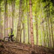 Wild Nature & Downhill